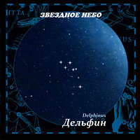 Дельфин | альбом | проект «Звёздное Небо», Андрей Климковский